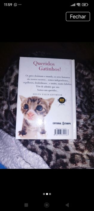 Queridos Gatinhos!
de Helen Exley