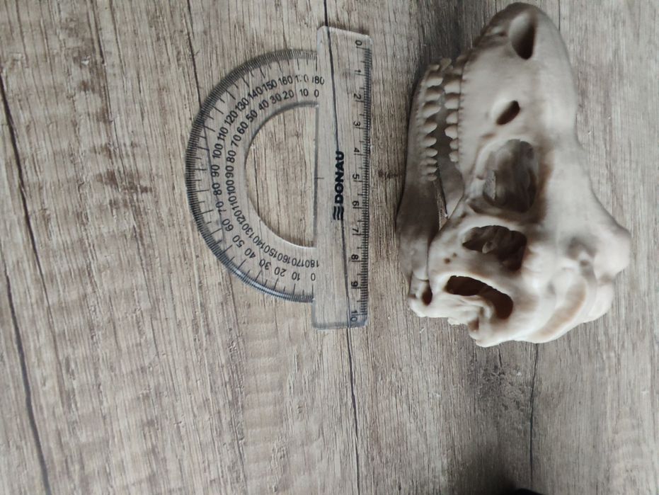 ozdoby czaszka do terrarium akwarium