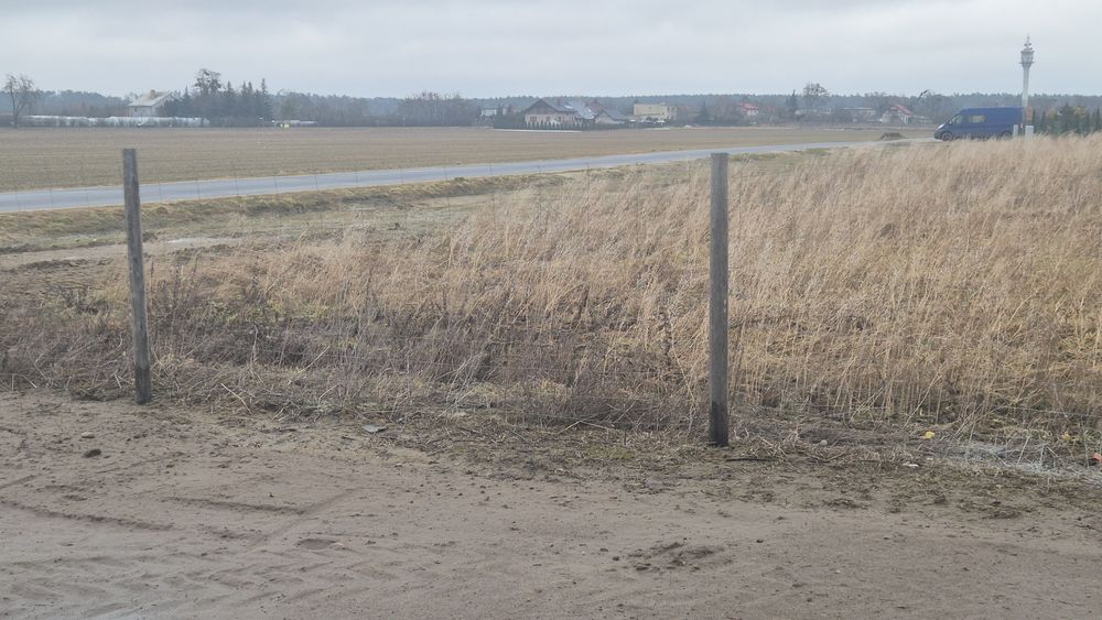 Płot leśny z bramą