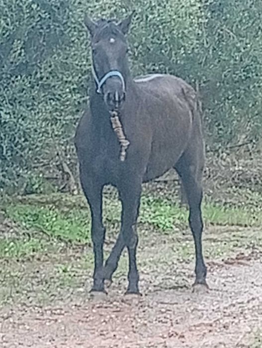 Para venda Para venda