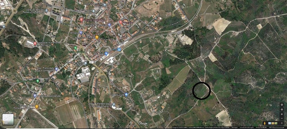 Terreno florestal com boa localização em Nelas