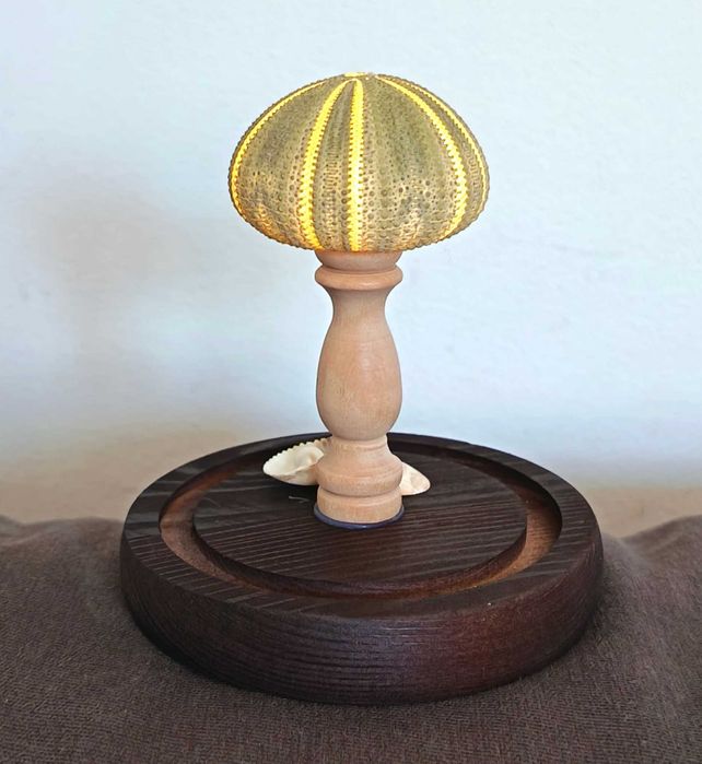 Candeeiro em forma de concha