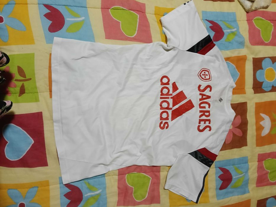 Camisola calças Benfica - ótimo preço