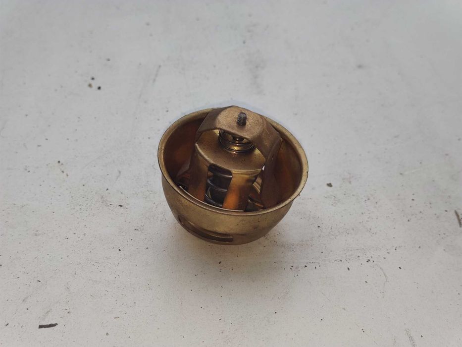 Termostat mtz 80