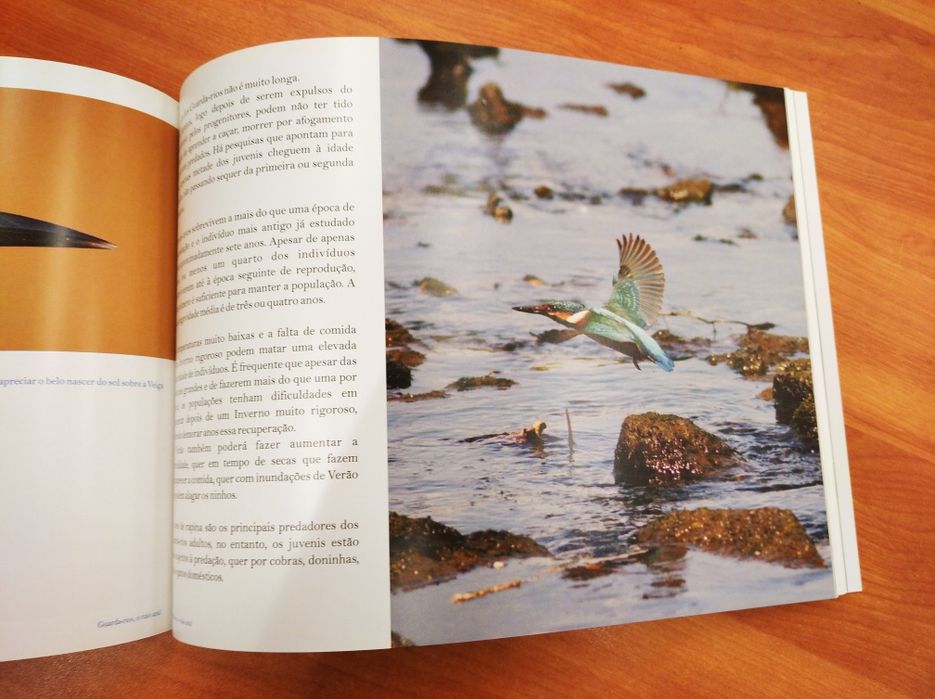 Livro "Guarda-rios... o raio azul" de Carlos Rio (2015)