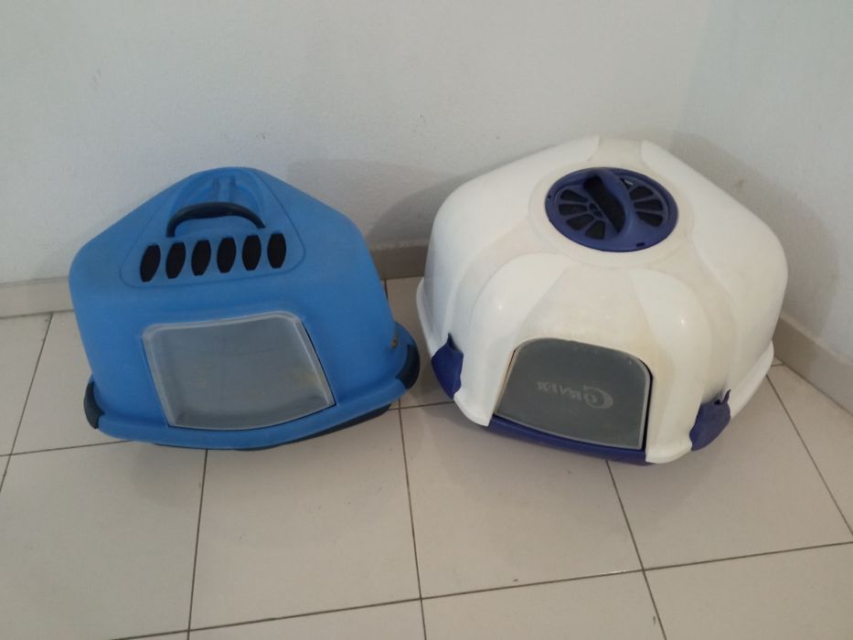 WC de canto. para   gatinhos