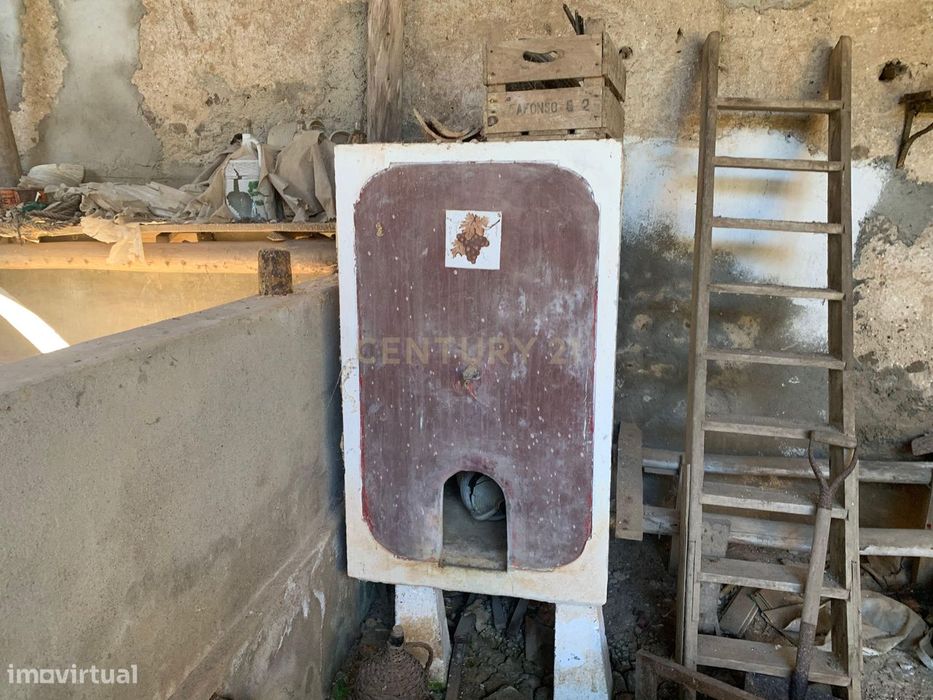 Ruína de Moradia com Potencial de Reconstrução em Poços de Baixo, Frei