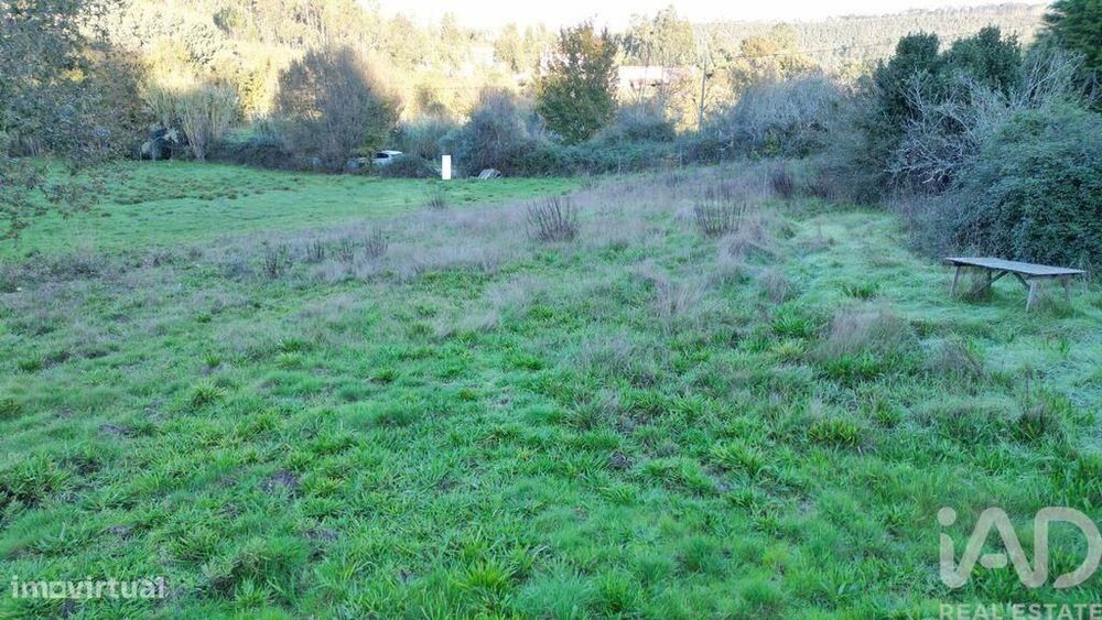 Terreno para construção em Semide e Rio Vide