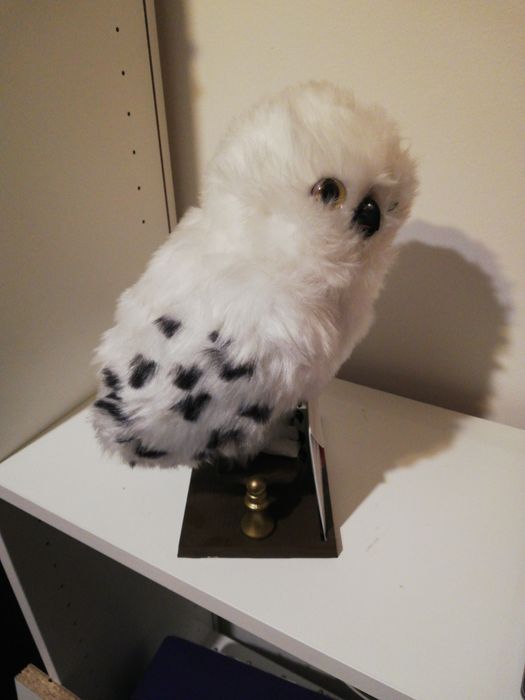 Coruja interativa harry potter