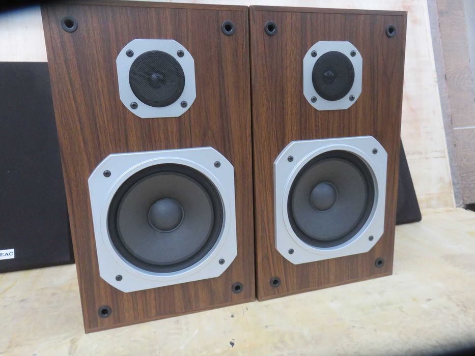 Kolumny monitory Teac S-1
