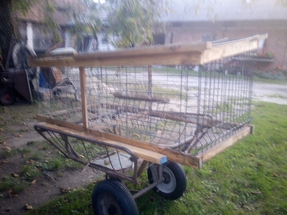 Klatka dla królików