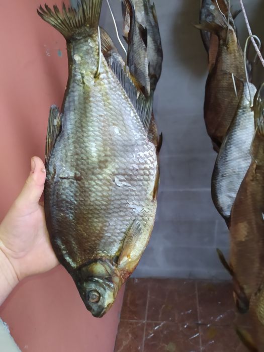 Продам вяленого леща