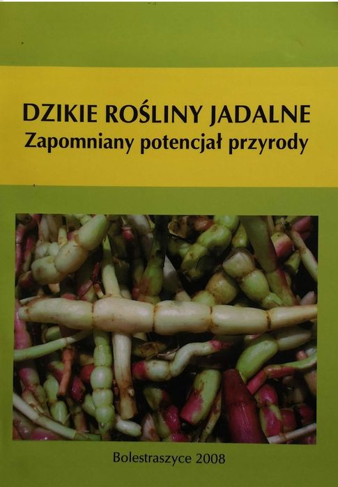 Dzikie rośliny jadalne Zapomniany potencjał natury