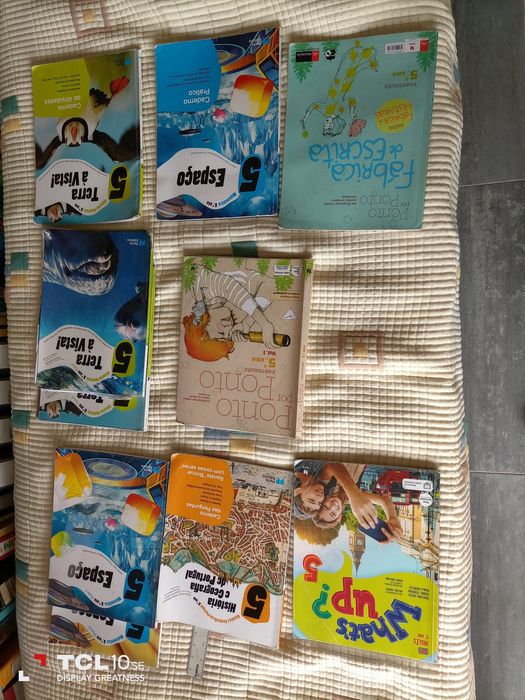 Livros do 5 ano , manuais e cadernos de atividades