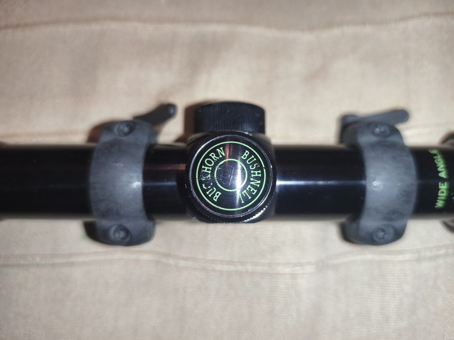 Mira Bushnell Buckhorn