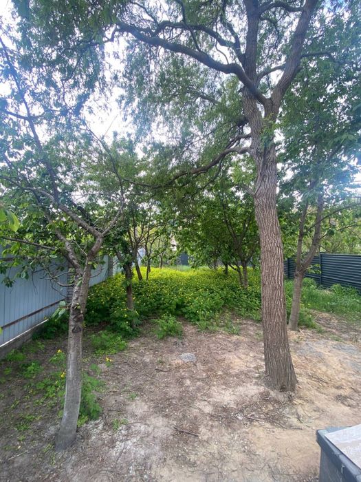 Цікавий, проект будинку на декілька входів для життя або бізнесу.