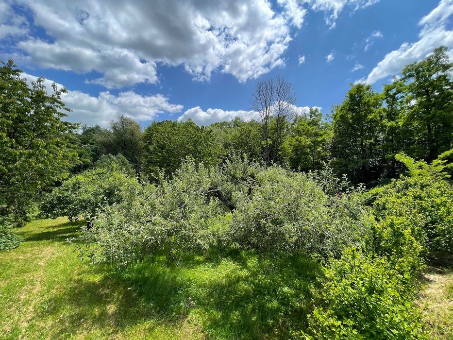 Dom z dużą zieloną działką, Lipinki, pow. gorlicki, 54ar