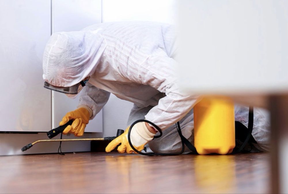 Usuwanie pluskiew, prusaków, karaluchów, moli, rybików, pluskwy DDD