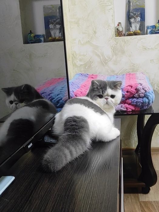 Екзотичний хлопчик