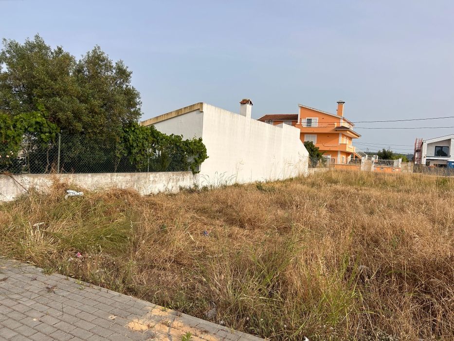 Limpeza de terrenos e pequenas obras