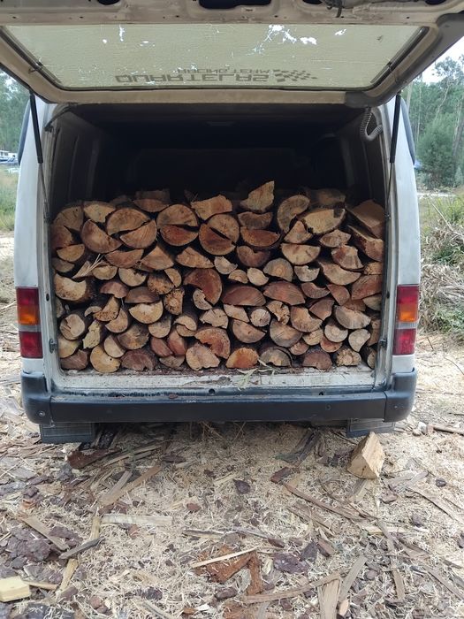 Vendo lenha seca