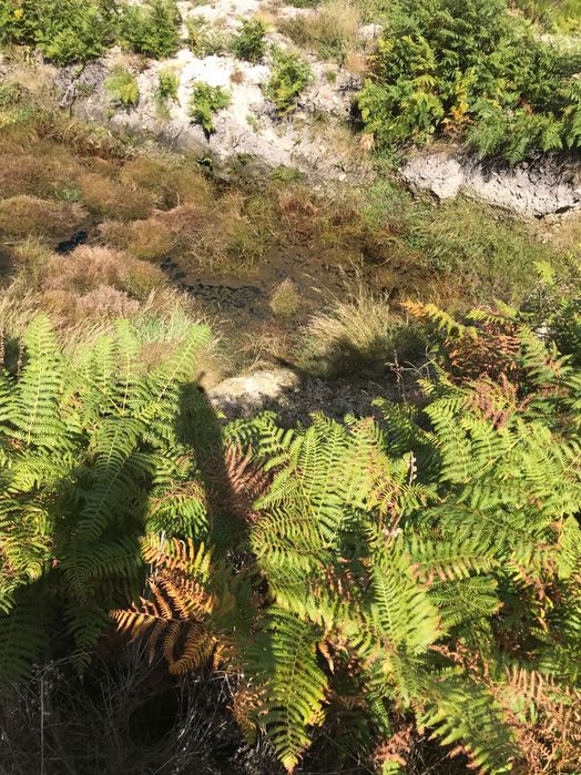 Terreno rústico na berma barragem pisões