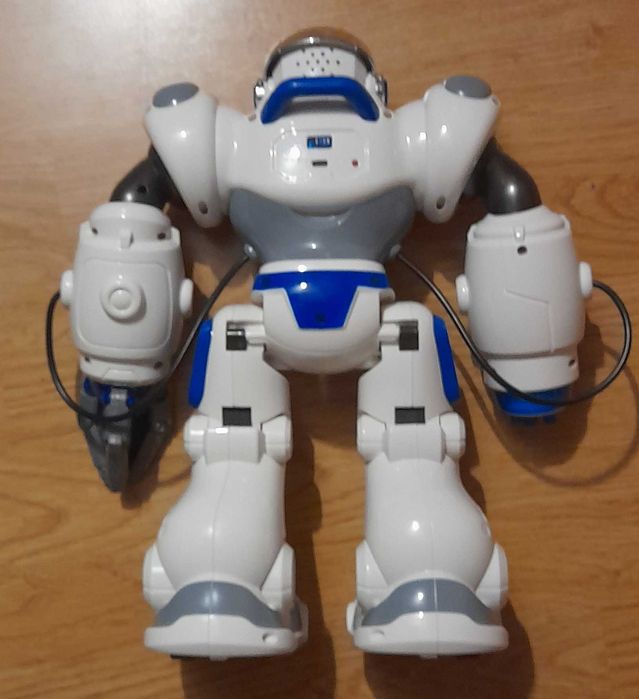 Interatywny robot