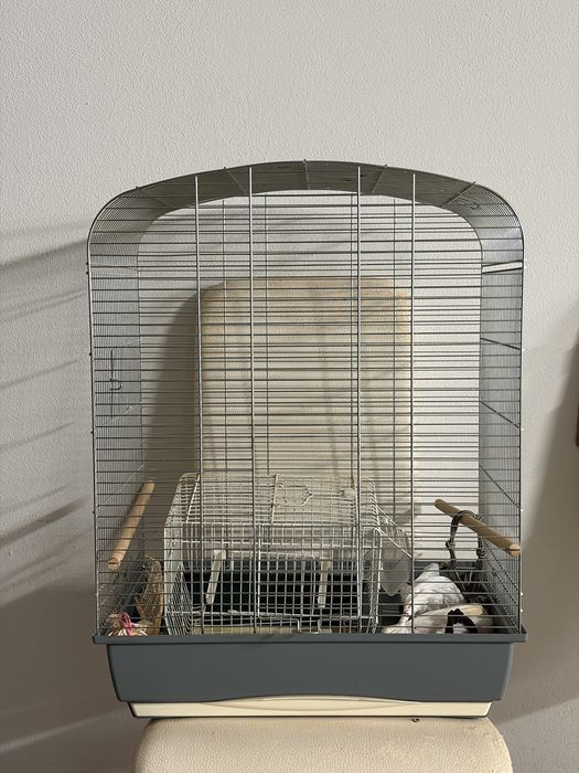 Gaiola Pássaros Grande + Oferta