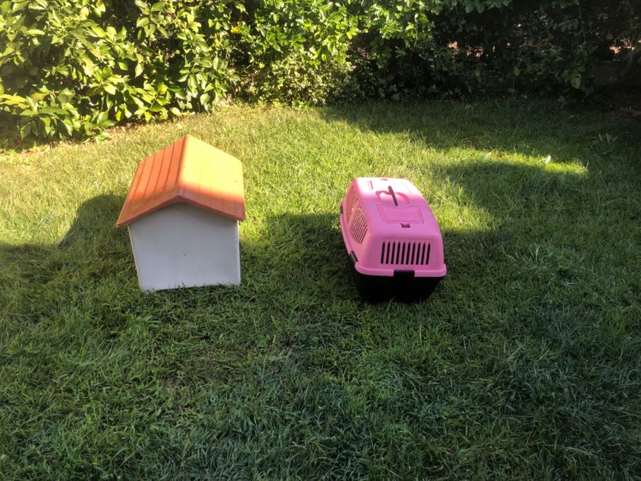 Casota de cão e caixa de transporte