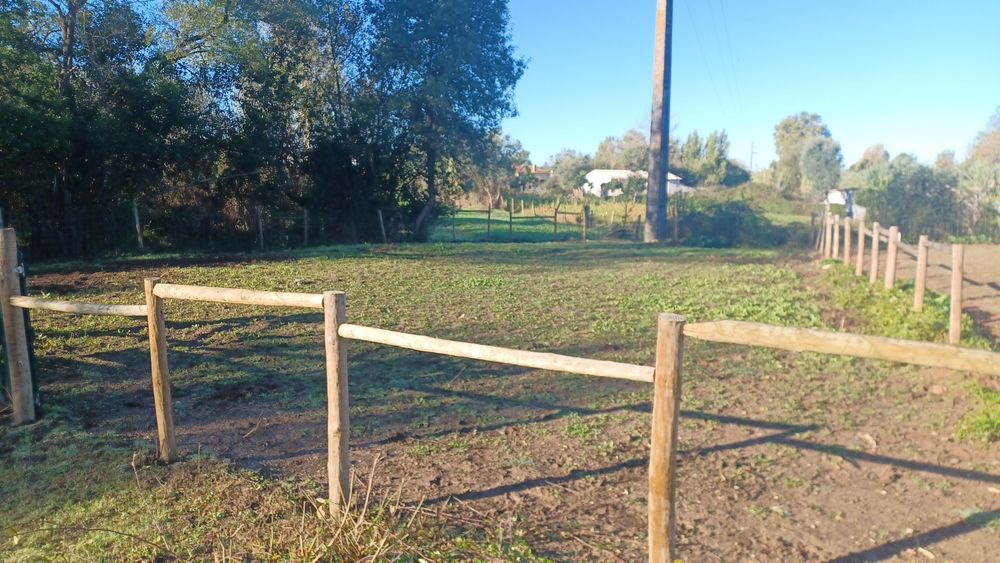 5.000 m2 a 300m do açude em Coimbra com infraestruturas para cavalos