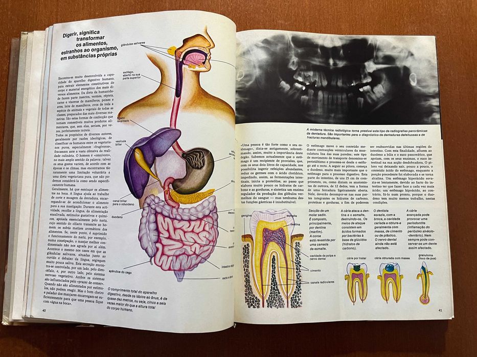 O Homem: seu corpo e seu espírito - Markus Plessner