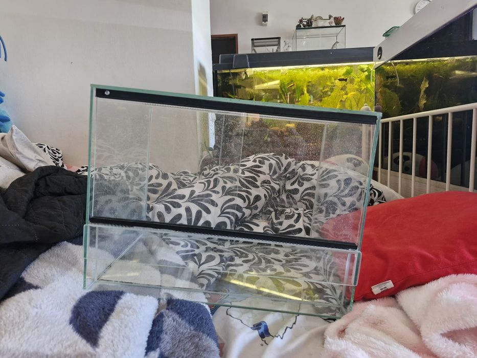 Terrarium  40x30x30