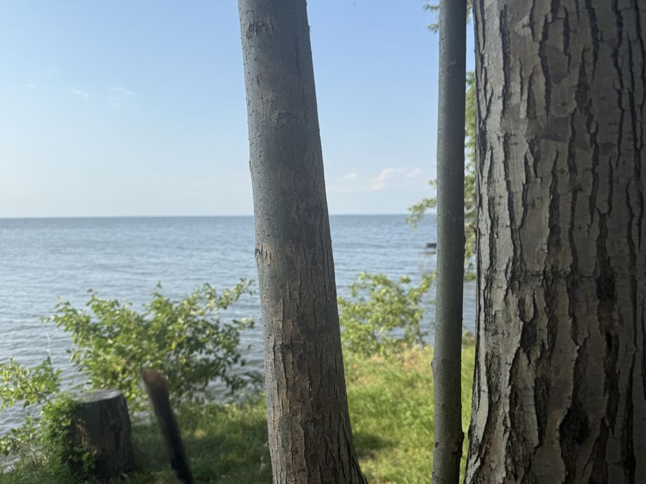 Дача кооператив Дніпро