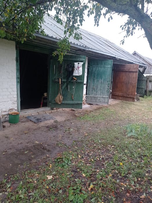 Газифікований та жилий будинок. Село Смолянка.