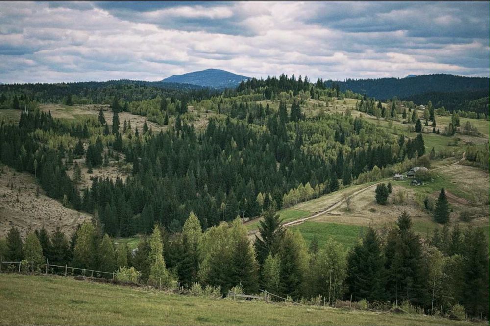 Відпочинок в горах Сенечів . Оренда котеджу . Відпочинок   в Карпатах
