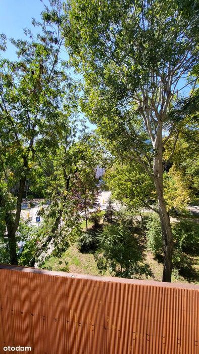 41 m² | 2 pokoje | 2. piętro | balkon | centrum | po remoncie