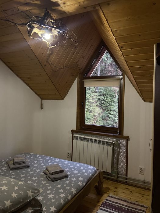 Відпочинок в Карпатах Екосадиба-чан