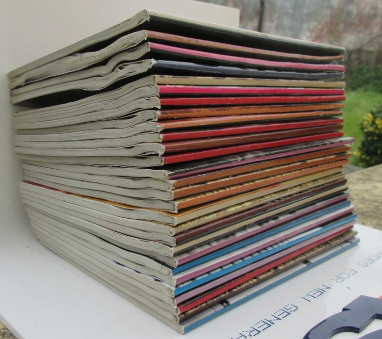 Livros Biblioteca de Verão (Jornal de Notícias)