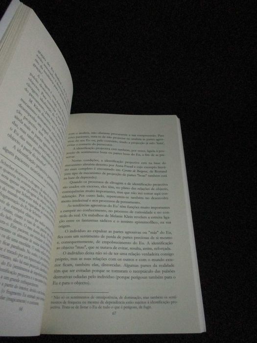 Livro Ensaio sobre as Perturbações do Pensamento Clínica Psicanalítica