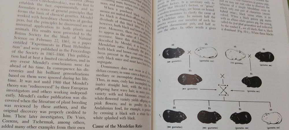 Livros Biologia Animal  -  Animal Biology por Guyer and Lane 5ª E 1964