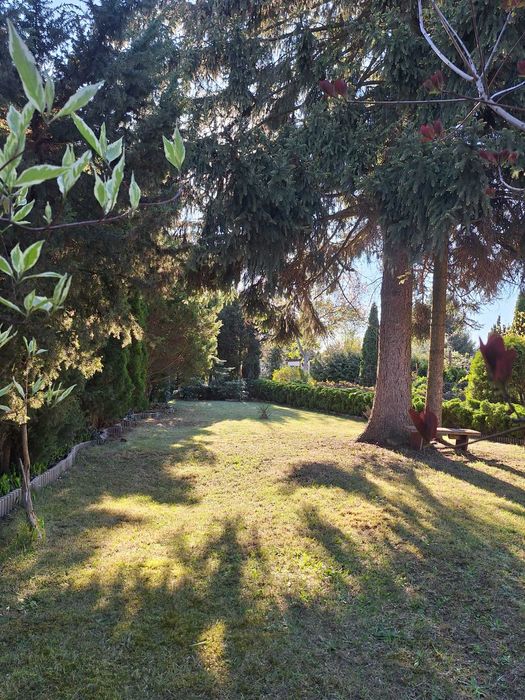 Urokliwa Działka ROD 344 m² z Murowanym Domkiem. Łódź ul. Biegunowa