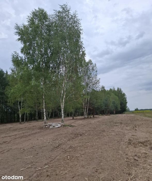 Działki Dębniak gmina Kazanów