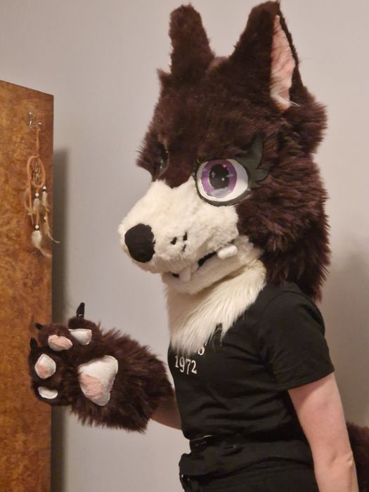 Fursuit głowa ogon łapy obrazek