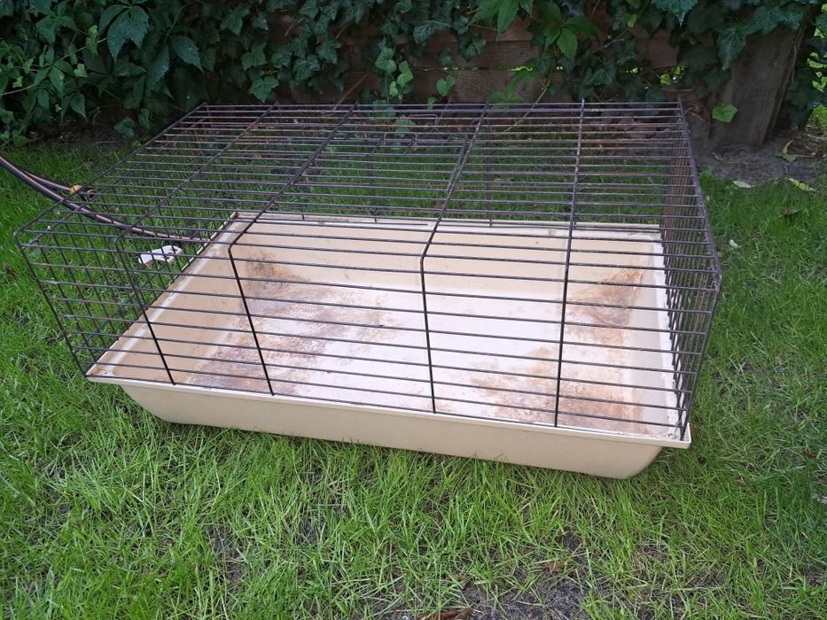 Klatka dla królika