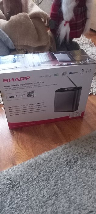 Radio przenośne DR-P530