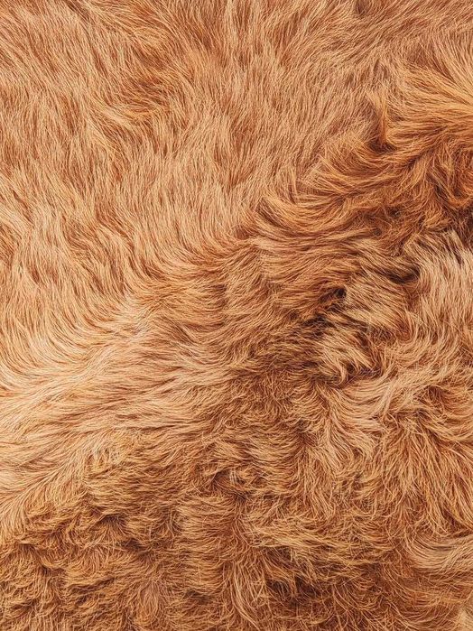 Патронташ БАЛТЕС новый,кожа