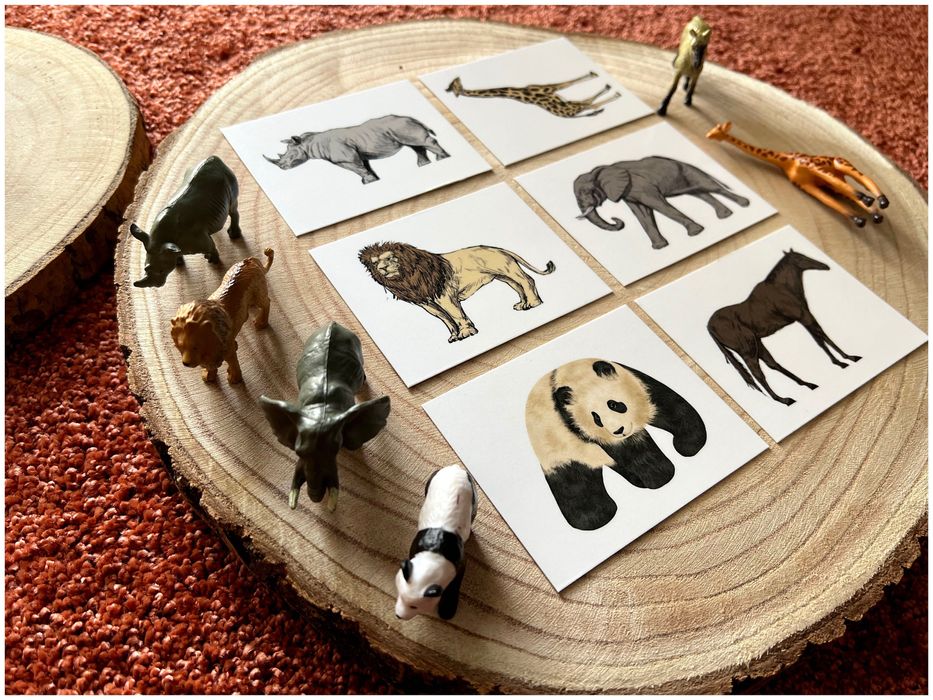 Animais da Selva- Montessori
