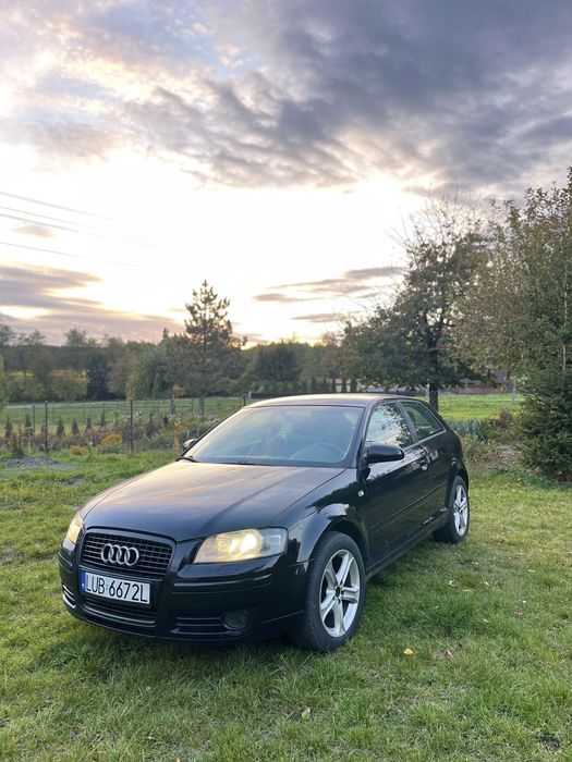 Audi A3 8P 1.9TDI