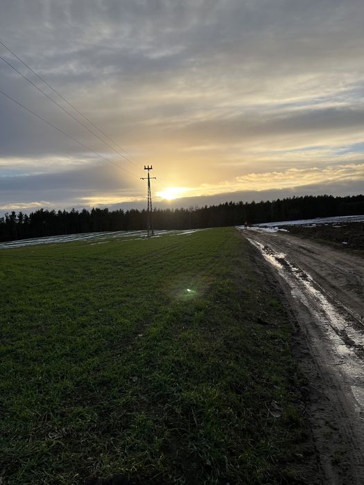 Sprzedm działkę w miejscowości Rajkowy przy lesie - Widok 5