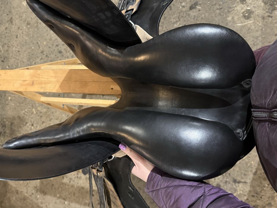 Prestige GP 2  17/35